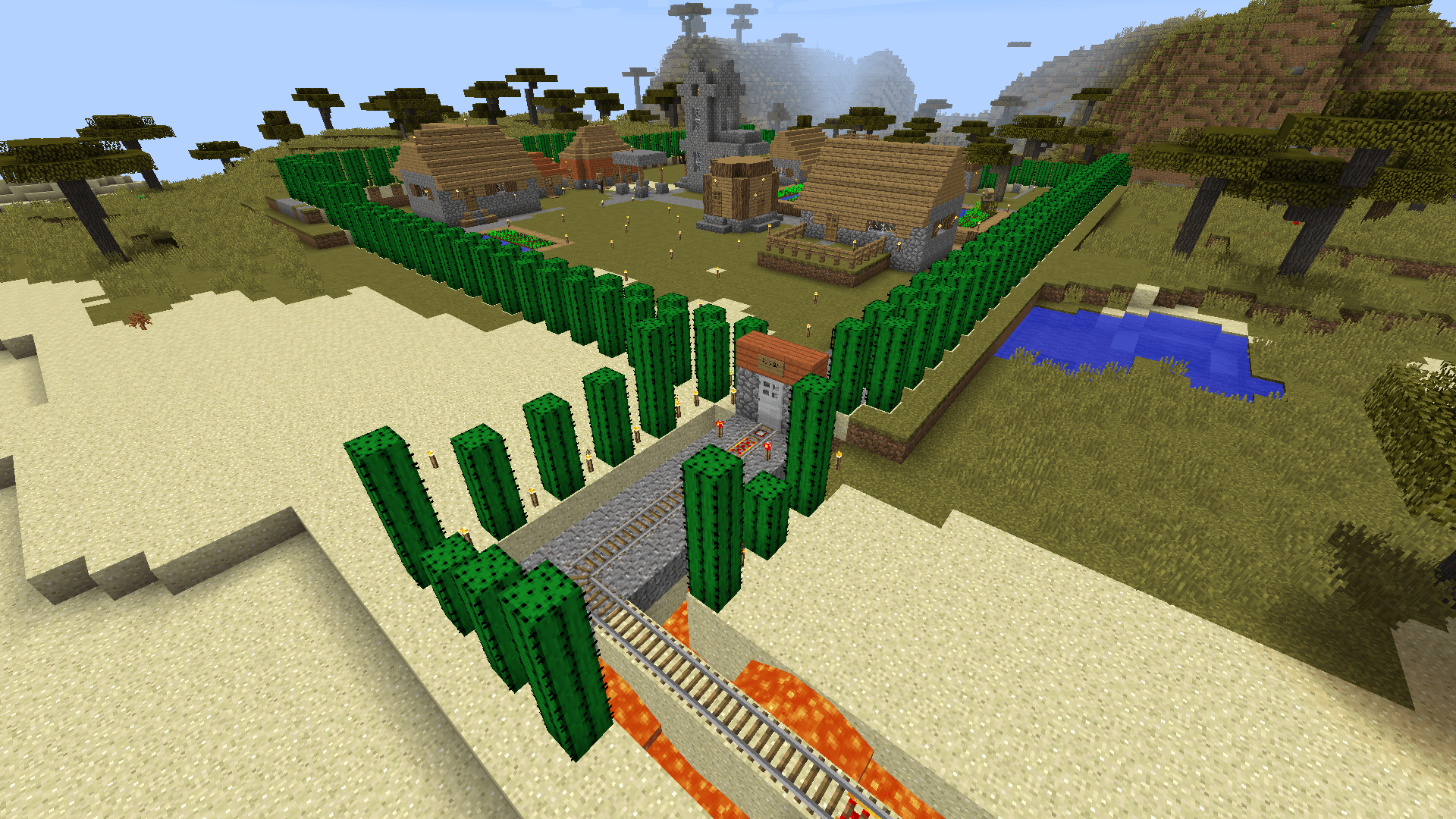 cactus city (1)